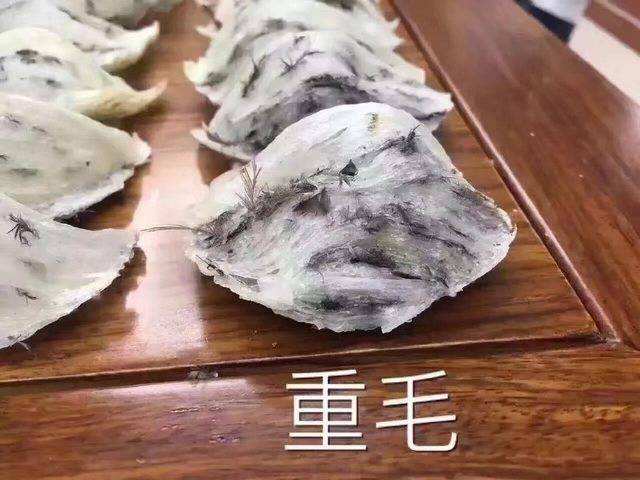 潜派旅行